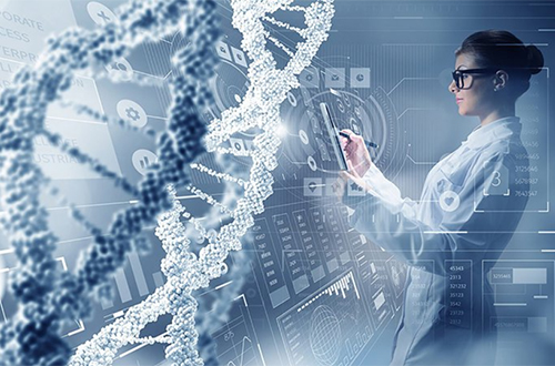 image biotechnologies